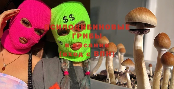 2c-b Балахна