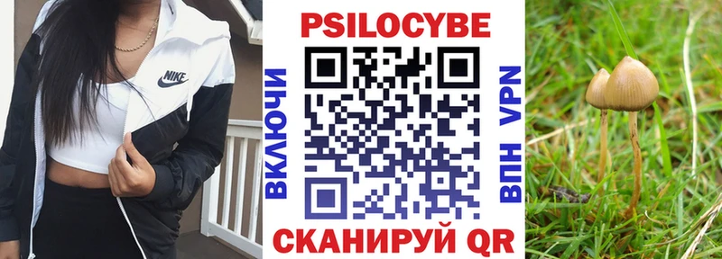 Галлюциногенные грибы прущие грибы  купить   Сыктывкар 